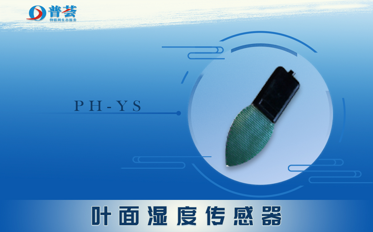  葉面溫度傳感器是什么？