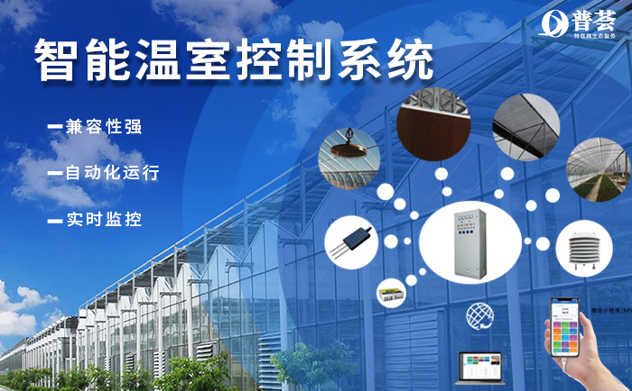 ?  武漢新普惠“加持”的現(xiàn)代農(nóng)業(yè)有多牛？