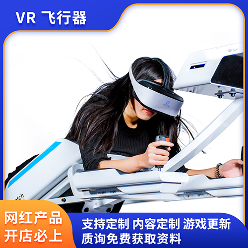 VR飛行器-鳥(niǎo)瞰式飛行體驗(yàn)