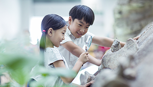 應(yīng)用范圍廣，覆蓋人群廣