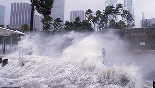 逼真場(chǎng)景，身臨其境